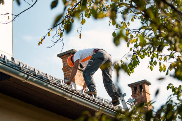 Roof Coating Services in Coats, NC