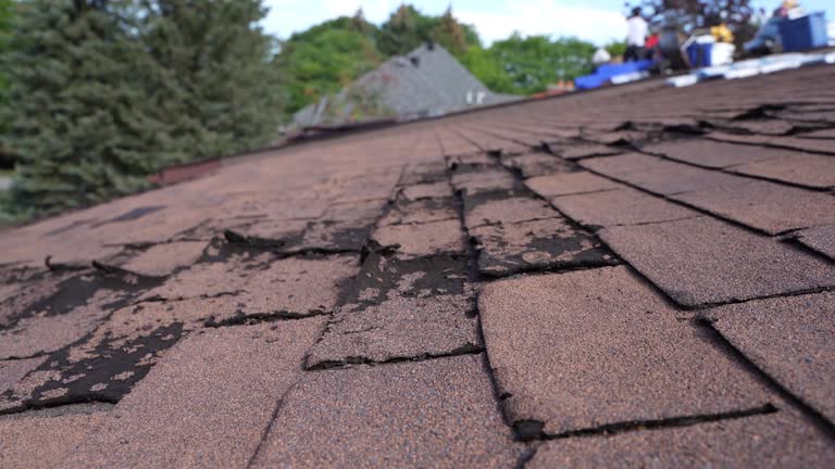 Best Asphalt Shingles Roofing  in Coats, NC